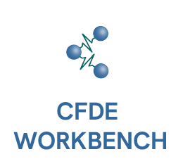 CFDE Workbench